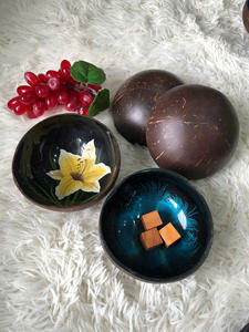 Cuencos de coco artesanales de madera de alta calidad Vietnam ecológico lacado Natural Coco Shell Camping plato para servir - Product Image 6