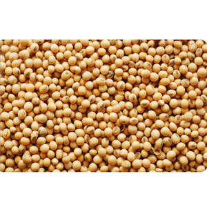 Soja Deshidratada Sin OMG, Rica en Proteínas, 10 kg, Bélgica - Product Image 5