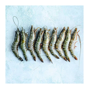 Camarones Tigre Negros Congelados de Alta Calidad con Proceso BQF para Venta al por Mayor y Manejo en Frío Confiable - Product Image 5