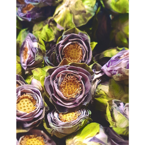 สัมผัสความหอมที่สงบเงียบและรสชาติดอกไม้ที่ละเอียดอ่อนของชาดอกบัวแบบแห้งระดับพรีเมียมสร้างจากดอกบัวที่ผ่านการคัดสรร - Product Image 6