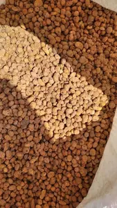 Nueces de Tigre Orgánicas Puras Blanqueadas y Secas, Cultivo Natural en Austria, Paquete a Granel, Grado 100, 24 Meses de Vida Útil, Buenas Ofertas - Product Image 2