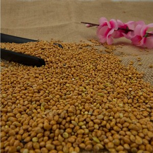 Attractive Price New Type Organic Yellow <b>Millet</b> Grains 1000g Edible Cereal Grain Thailand Healthy Porridge - Product Image 6