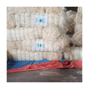 Fibra de sisal natural asequible para compradores ecológicos que producen cuerdas y esteras. - Product Image 3