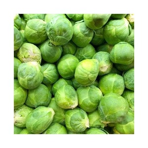 Coles de Bruselas de calidad exportadas frescas cosechadas en granja - Product Image 6