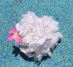 15Dx64mm HD-Fibre de polyester non conjuguée non siliconée creuse Meilleur prix Meilleure qualité Fabricant vietnamien - Product Image 6