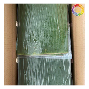 Produit le plus vendu Feuilles de bananier congelées, Feuille de bananier vert congelée pour la conservation des aliments, idéale pour emballer les aliments et les plats - Product Image 5