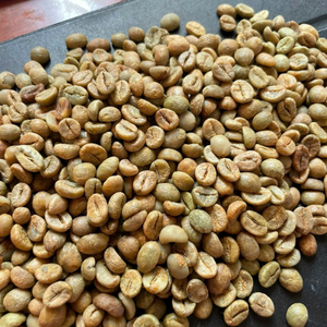 100% VIETNAM ORIGINAL ROBUSTA GRAINS DE CAFÉ VERT EN VRAC AVEC PROCESSUS DE POLISSAGE PROPRE/HUMIDE ERIC PHAN + 84349964058 - Product Image 2