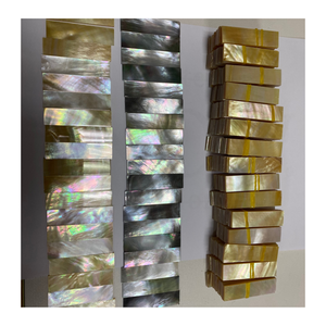 Vietnam nacre coquille pièces nacre tranches de nacre pour incrustation artistique bijoux Art mural panneaux de meubles décoratifs - Product Image 1