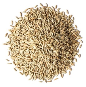 High Quality Rye <b>Grains</b> for Food Processing Industry - Product Image 3