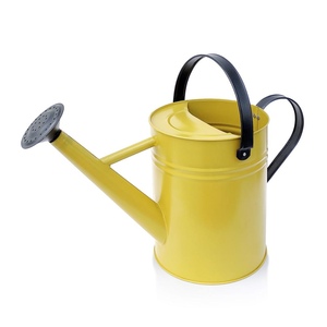 Arrosoir galvanisé avec couleur personnalisée pour la couleur vert foncé pour un polissage brillant à la main - Product Image 5