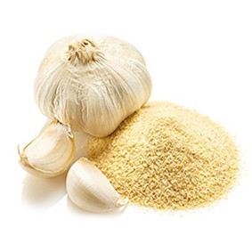 POUDRE DE RACINE D'AIL/DÉRIVÉ DE PLANTES/PROPRE TRAITÉ/AUCUN ADDITIF - Product Image 3