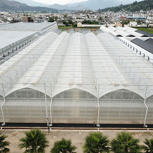 Invernadero de Precisión con Control Climático para la Cultivo de Azafrán y Especias de Alto Valor, con Control Inteligente de Clima y Humedad - Product Image 4