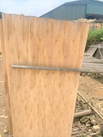 Placage de bois d'eucalyptus naturel à 100 % / Placage de bois / Face de bois reconstruit