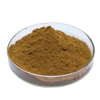 Ekstrak Daun Senna 40% Alami Murni Kelas Makanan Bubuk Ekstrak Herbal Budidaya Liar untuk Grosir Massal Harga Terbaik