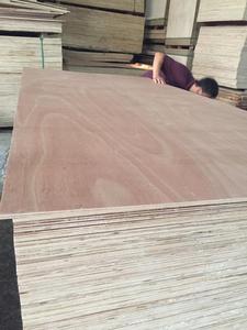 Madera Contrachapada Comercial de 5.2mm en Venta - Product Image 2