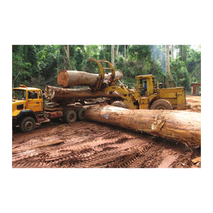 Grumes africaines de Bubinga abordables fournies pour les commandes en gros avec une livraison fiable dans le monde entier - Product Image 5