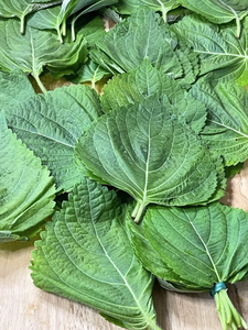 Hoja de perilla fresca de primera calidad para exportar - Product Image 4