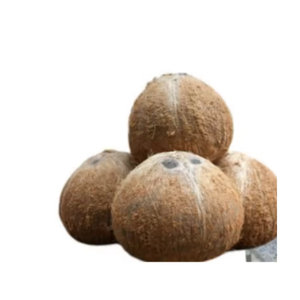 Noix de coco jeune prête à boire, bouchon facile à ouvrir, haute qualité du Vietnam - Product Image 6