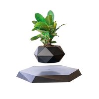 Petit pot à plantes en lévitation magnétique, ensemble de pots à fleurs rotatifs avec succulentes flottantes pour la maison ou le bureau, design moderne