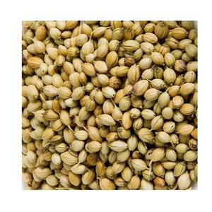 Vente en gros de graines de coriandre séchées en vrac pour le commerce des assaisonnements et des épices - Product Image 4