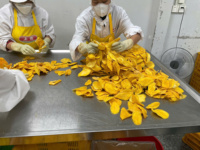 Premium gedroogde mango, gesneden, bulkverpakking, Vietnam, levert natuurlijke gezonde snacks voor wereldwijde supermarkten en snackmerken.