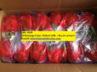 Verse Dragon Fruit/Pitaya Fruit 350GR Rood/Wit Vlees Graad A Kim Minh International KMI