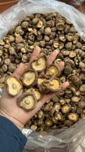 Shiitake Seco Seleccionado a Mano para Sushi Premium y Cocina Japonesa de Vietnam - Product Image 2