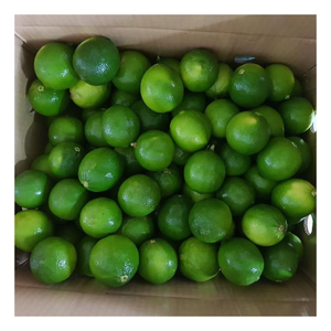 Offre spéciale citron vert frais Excellent pour la cuisine tropicale fraîche citron vert frais agrumes sans pépins juteux avec qualité d'exportation et arôme frais - Product Image 1