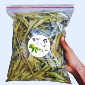 Feuilles de corossol entières vertes naturelles séchées biologiques pures de qualité supérieure pour tisane - Product Image 4