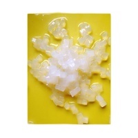 Custom Viet Nam Manufacturer Nata De Coco <b>Coconut</b> Jelly Snack <b>Cups</b> Fruity Flavor Low-Fat Private Label Halal Bulk Wholesale - Product Image 2