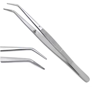 Pince à épiler en coton de qualité OR London College avec pointe dentelée Instrument chirurgical dentaire et médical en acier inoxydable - Product Image 4