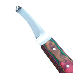 Outil de maréchal-ferrant droitier avec manche en bois de bétail d'instruments vétérinaires et boucle de toilettage - Product Image 2