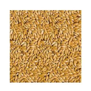 เมล็ดนกขมิ้นจำนวนมาก - Product Image 1