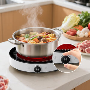 Fabricante <span class=keywords><strong>de</strong></span> cocinas infrarrojas Quemador <span class=keywords><strong>de</strong></span> cerámica infrarrojo para uso doméstico 220V/ 110V Estufa <span class=keywords><strong>de</strong></span> cocina infrarroja <span class=keywords><strong>de</strong></span> una sola encimera al por mayor - Product Image 4