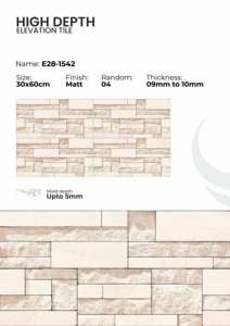 Carreaux de mur extérieurs en porcelaine 300x600mm Résistants aux intempéries - Product Image 1