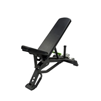 Banc de musculation réglable à charge libre Brawn Strength pour salle de sport, équipement de musculation OEM ODM