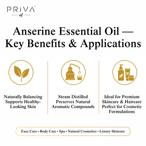 Aceite Esencial de Anserina Orgánico a Granel, Chenopodium Ambrosioides, Destilado al Vapor, Ecocert, Marruecos, Venta al por Mayor, Grado Cosmético Calmante - Product Image 4