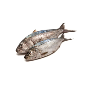 Vente en gros de cartons en vrac de Sardinella eba congelés pour l'exportation de fruits de mer de qualité pour les supermarchés - Product Image 4