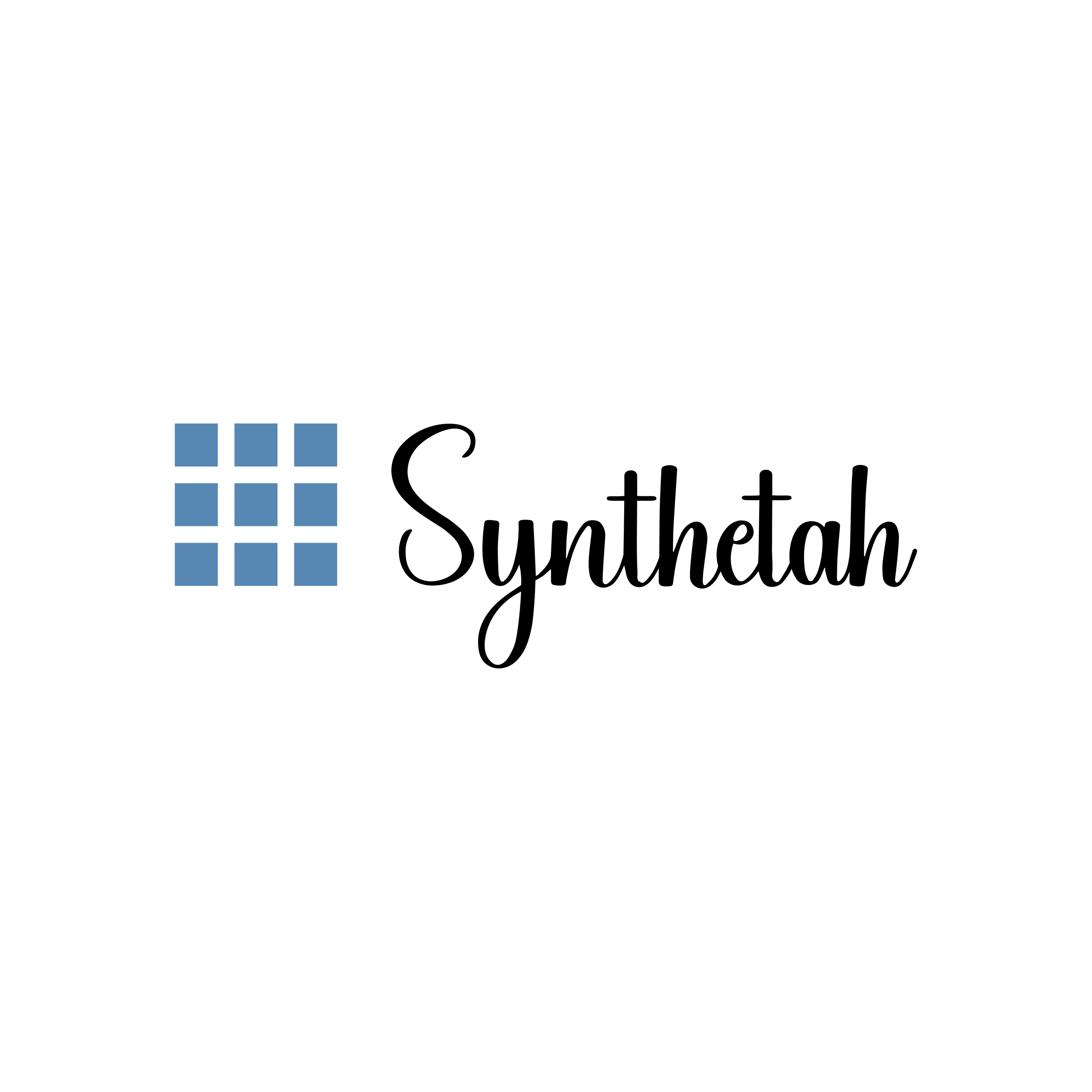 Synthetah, LLC logo