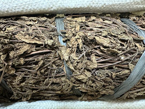 Hojas Secas de Hierba de Jalea Negra (Mesona Chinensis) 100% Puras, Especias y Hierbas Aromáticas de Vietnam, Empaque a Granel, Bolsa de 70 kg, VIET DELTA - Product Image 6