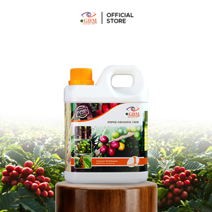 Organic <b>Liquid</b> Seaweed Bio Fertilizer for <b>Coffee</b> Cocoa Pepper Chili Fruit & Vegetable Agriculture GDM Quick Release - Product Image 2