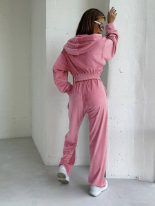 2026 sudaderas con capucha para mujer, conjunto de 2 piezas, chándal de terciopelo de alta calidad, conjunto de Jogger transpirable suave para mujer, chándal de terciopelo informal para mujer - Product Image 2