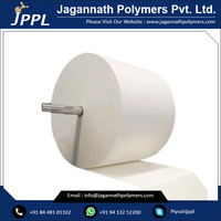 High Quality Duplex Board FBB Virgin Paper Roll Single Side PE Coated Flexo Offset Printing for Food Medicine Cosmetic Packaging