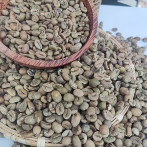 100% VIETNAM ORIGINAL ROBUSTA GRAINS DE CAFÉ VERT EN VRAC AVEC PROCESSUS DE POLISSAGE PROPRE/HUMIDE ERIC PHAN + 84349964058 - Product Image 5