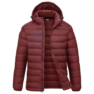 Veste à capuche pour hommes résistante à l'eau capuche détachable manteau d'hiver léger isolé poches poignets élastiques réglables - Product Image 1