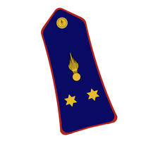 EPAULETTES TREFLE GENDARMERIE GRANDE TENUE - PERSONNEL Couleur bleue personnalisée avec motif de broderie