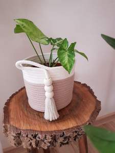 Plante suspendue en macramé pour la décoration de jardin d'intérieur, créant une ambiance fraîche avec une texture de fibres naturelles - Product Image 5