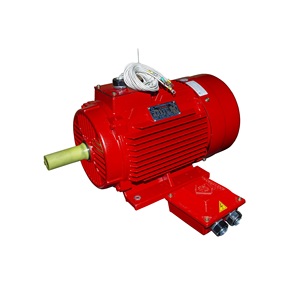 Boîtier en fonte 0.18kW-315kW Résistance aux hautes températures Moteur électrique à courant alternatif Moteur asynchrone 380V Noyau en cuivre triphasé - Product Image 4