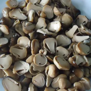 Ingeblikte Strochampignons 100% Hoogwaardige Strochampignons Geproduceerd In Vietnam Met Goedkope Prijs