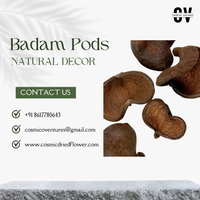 Kerajinan DIY Potpourri dari Kulit Badam Organik Ramah Lingkungan Berkualitas Tinggi untuk Dekorasi Acara Dalam/Luar Ruangan - Pabrik Bunga Kering Kosmik